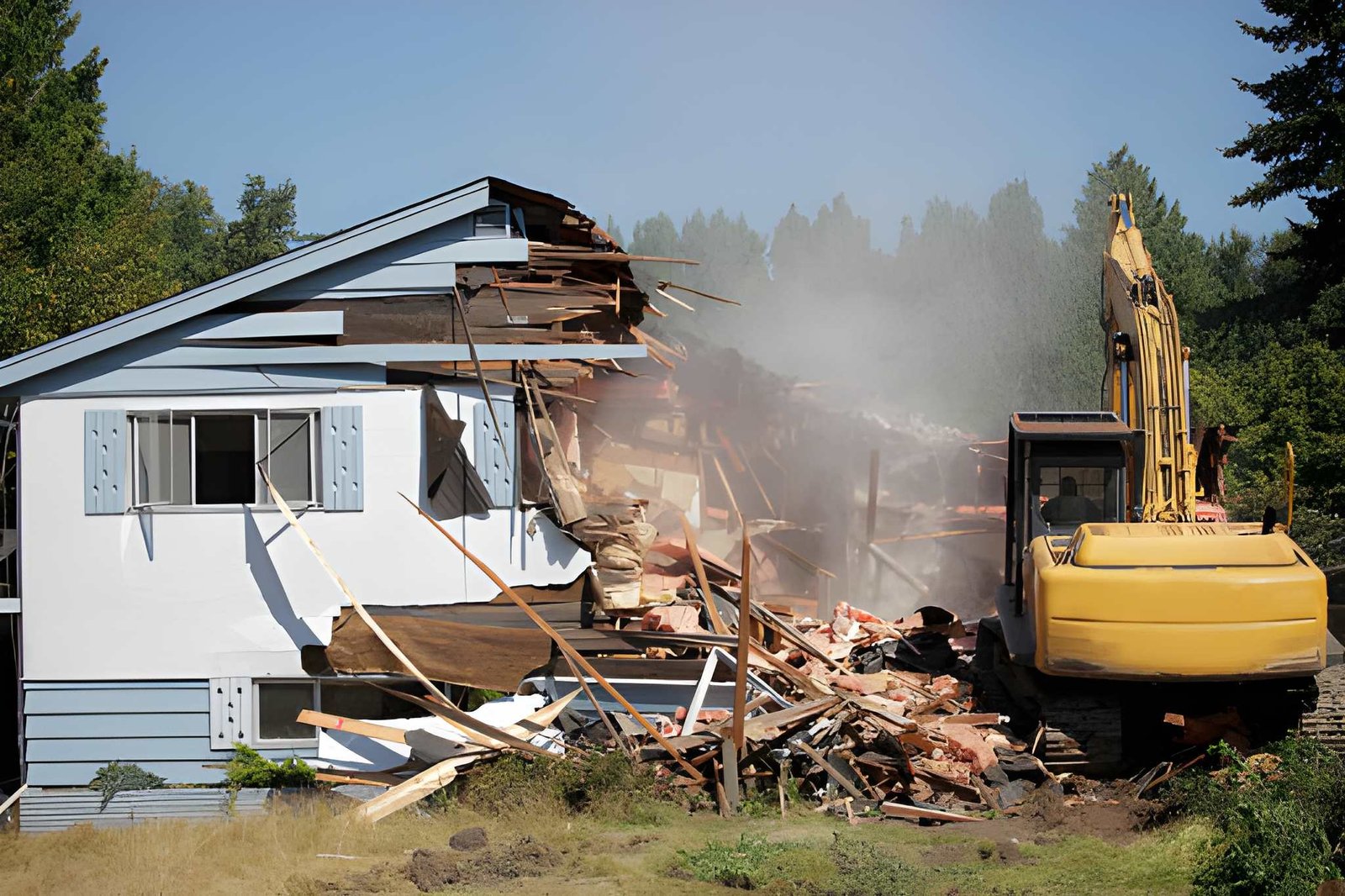 Selective Demolition